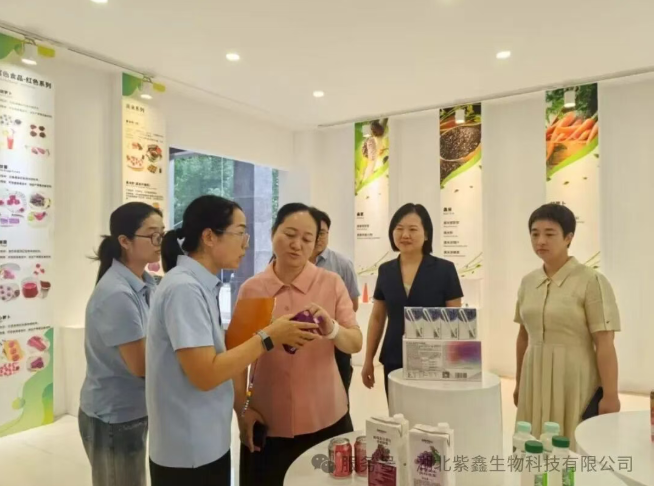 黃石市婦聯主席畢正潔赴紫鑫生物調研婦女工作